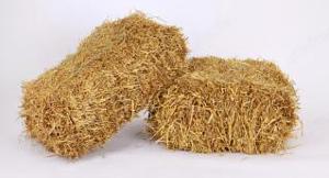 Stroh, praktische, handliche kleine Ballen beste Qualität für Kleintiere Bild 2