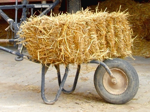 Stroh, praktische, handliche kleine Ballen beste Qualität für Kleintiere Bild 10