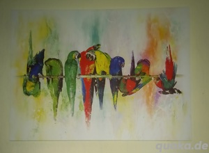 Papageien Bild Wandbild 77 cm x 57 cm neu
