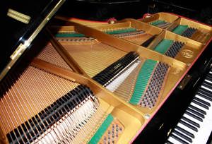Flügel Klavier Grotrian-Steinweg 200, schwarz poliert, 5 Jahre Garantie Bild 8