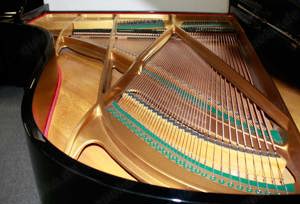 Flügel Klavier Grotrian-Steinweg 200, schwarz poliert, 5 Jahre Garantie Bild 9
