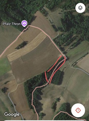 Grundstück Wald Douglasien 