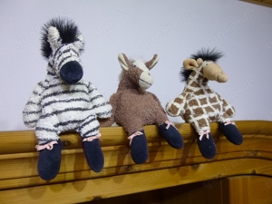 Kantenhocker Zebra Giraffe Esel