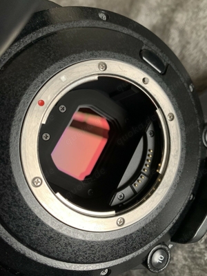 Canon EOS C200 4k Filmkamera mit SSD  Smallrig Top Board  BP-A60 Adapter Bild 5