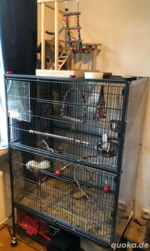 Vogelkäfig Voliere