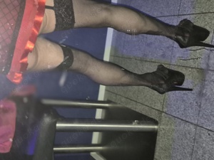 DWT sucht DWT oder tranny oder Männer  Bild 3