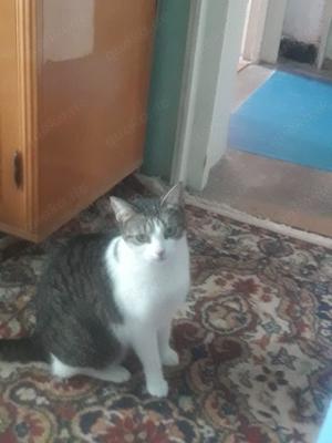 Mitu sucht liebevolles Zuhause