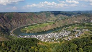 Müllers Ferienwohnung in Bremm an der Mosel Bild 10
