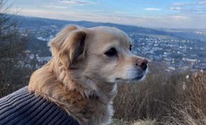 Lebensfrohe EMMY sucht gemütlichen Kuschelplatz