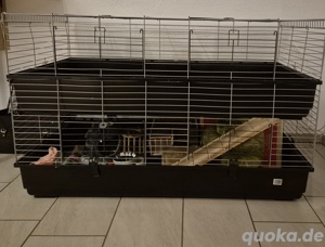 Doppelkäfig für Meerschweinchen und Hasen