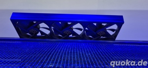 Meerwasser Aquarium zu verkaufen 