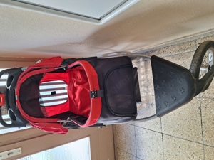 Hundekinderwagen Bild 3