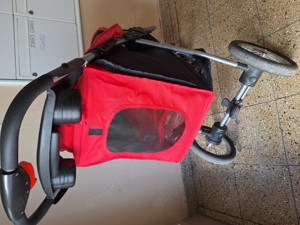 Hundekinderwagen Bild 2