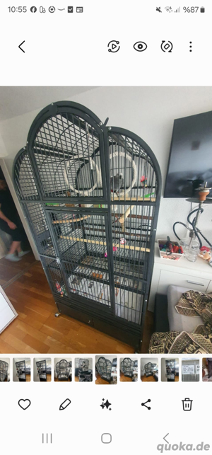 Papageien Käfig  XXL Montana Bild 5
