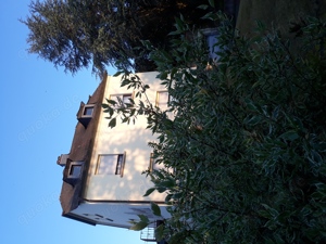 Haus in Simmern