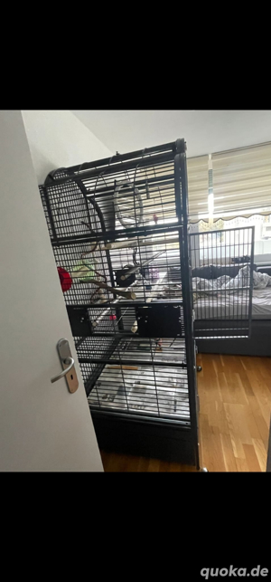 Papageien Käfig  XXL Montana Bild 3