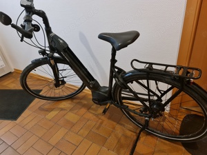 E-Bike (Pedelec): Raleigh Bristol 8