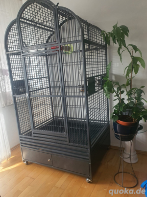 Papageien Käfig  XXL Montana