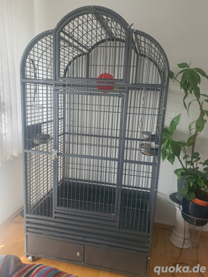 Papageien Käfig  XXL Montana Bild 8