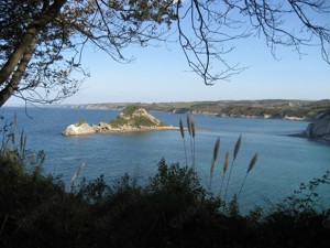 Frankreich-Urlaub im Grünen mit Eseln im Baskenland (Biarritz) Bild 10