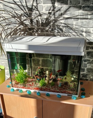 Aqarium 60l komplett Bild 4