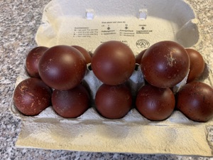 Marans s k Bruteier 