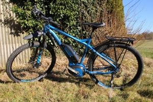 E-Bike Bergamont E-Line Revox C 8.0 MTB - Akku 500 Wh - Größe L
