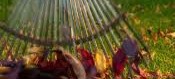  Ich suche Gartenarbeiten Kreis Darmstadt 