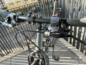 FOCUS Fahrrad 