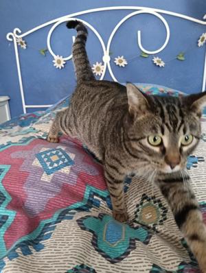 Dankbarer Logan (ALO) Bild 3