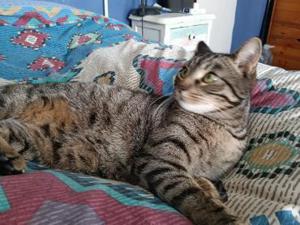 Dankbarer Logan (ALO) Bild 2