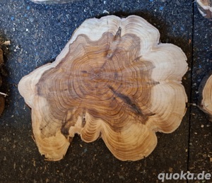 Baumscheibe Holzscheibe DIY DEKO Hochzeit Epoxidharz Basteln Holz 
