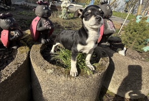 Camilla ein tolles Mädchen 