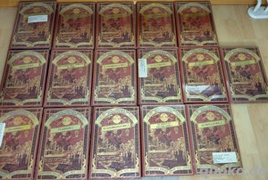 Bücher Jules Verne Bekannte und unbekannte Welten