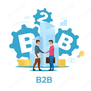 B2B Shop mit Shopware 6