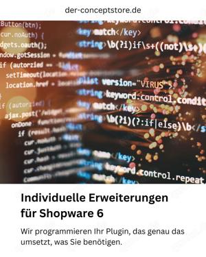 Individuelle Erweiterungen Plugins für Shopware 6