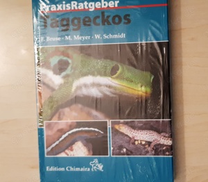 Taggeckos -Bruse Meyer Schmidt