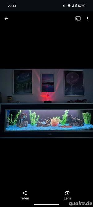 Aquarium 