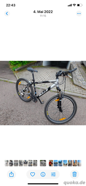 Bulls Mountainbike schwarz silber