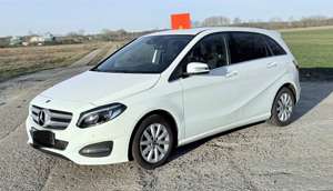 Mercedes-Benz B 200 B-Klasse Urban, Standheizung; Sommer/Winterräder