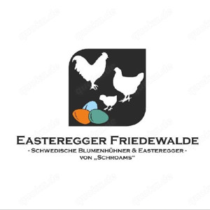Bruteier von Schwedischen Blumenhühnern BE Sk nsk Blommehöna Bild 6