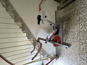 Hammer Speedbike gebraucht puristisch ,  Bild 3