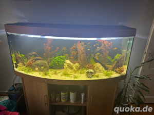 juwel 450l 