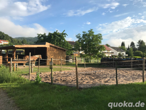 Offenstall   Offenstallplatz für leichtfuttriges Pony
