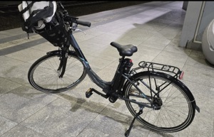 E-Bike Telefunken Multitalent RC 830 nur 126 KM !!! *NEUWERTIG*