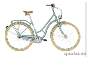 Damen Fahrrad
