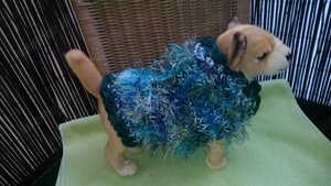 2 x Chihuahua Welpen Hundepullover in XS Sonderpreis