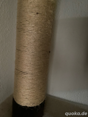 kratz baum 