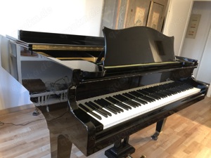 Bechstein Flügel