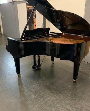 W. Hoffmann V-158 Flügel Bild 2